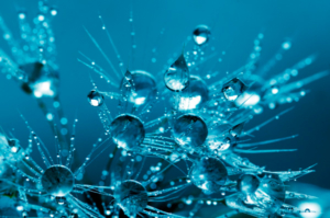 bubbels-kl