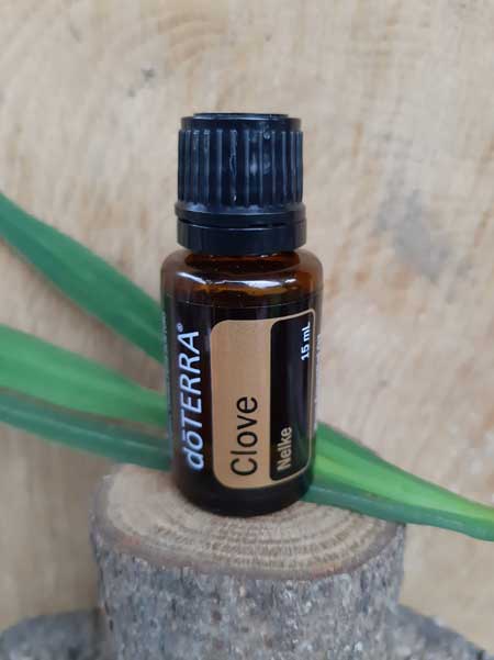 clove-kruidnagel-essentiele-olie-doterra