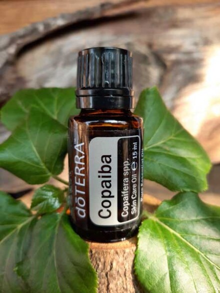 Copaiba essentiële olie Doterra kalmeert het zenuwstelsel, is een sterke antioxidant, te gebruiken ter vervanging van CBD olie