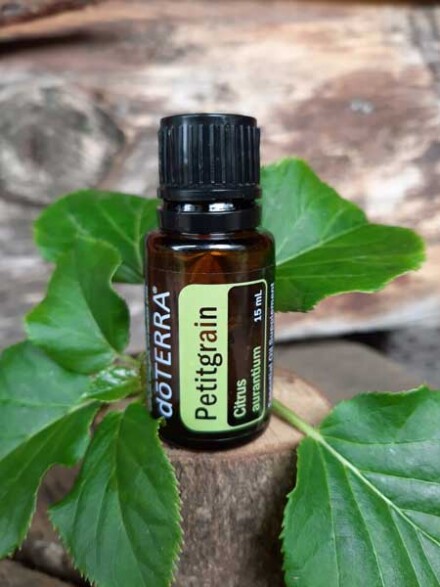Petitgrain essentiële olie Doterra verfrist je auraveld, zuivert je omgeving, kalmeert het zenuwstelsel / LAATSTE