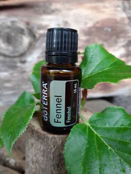 Venkel, fennel essentiële olie Doterra ontstekingsremmend, bij stress en nerveuze spanningen, vergroot je zelfvertrouwen / LAATSTE