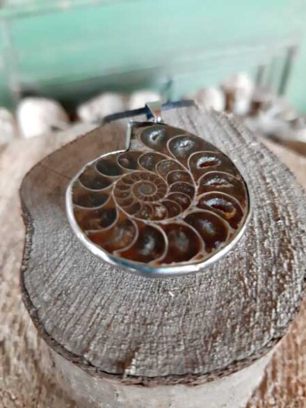 Ammoniet fossiel ketting hanger ondersteunt bij depressie, vergroot je spirituele kracht, beschermt je, een krachtige heler - Afbeelding 10