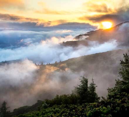 Morning mist wierook, 5 kokers + 1 koker gratis, zacht kruidig