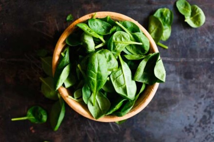 Wierook uit Tibet Heilige Basilicum verminderd stress en ontspant, puur natuurlijk wierook zonder houtskool / LAATSTE - Afbeelding 2