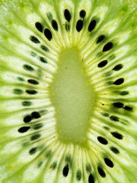 Kiwi wierook, 5 kokers + 1 koker wierook gratis, fris en zoet