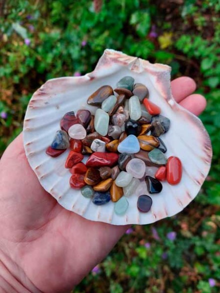Schelp met 100 gram mini edelstenen en kristallen voor het energetisch verhogen van kraanwater en ook leuk voor de kids