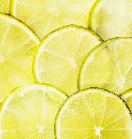 Lemon garden pet remedie olie om onaangename geurtjes van dieren (of mensen) te verdrijven / LAATSTE - Afbeelding 2