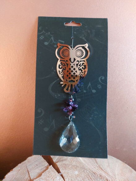Kristal hanger met een uil voor wijsheid, hij straalt prachtige regenboogkleuren + chakra beschrijving - Afbeelding 3