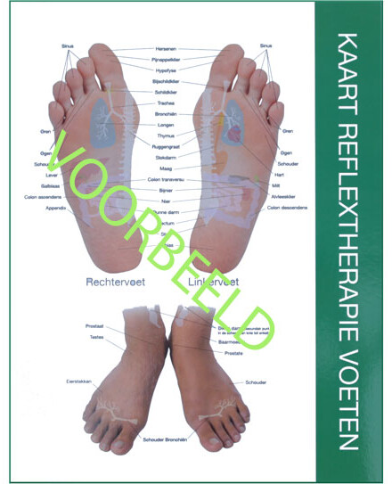 Voeten reflex punten en hand reflexologie, ze herleiden naar al je organen