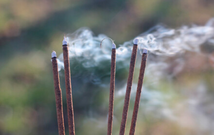 Palo Santo wierook voor het zuiveren van je omgeving, gezonde wierook, 100 % puur natuurlijk, handgerold en verwerkt zónder houtskool - Afbeelding 3