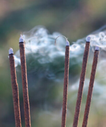 Sandalwood werkt kalmerend op de psyche en de geest, stress vrije wierook, een bosachtige en ontspannende geur, gezonde wierook zonder houtskool - Afbeelding 2