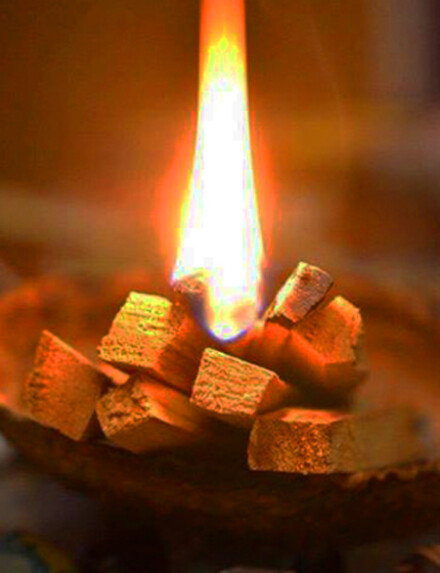 Abaloneschelp groot om witte salie of palo santo hout op te branden + GRATIS 1 stokje pure palo santo hout + tekst - Afbeelding 6