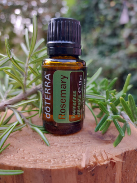 Rozemarijn Rosemary etherische olie voor een heerlijke aroma, werkt opbeurend, voor een goede concentratie, reinigend een ruimte
