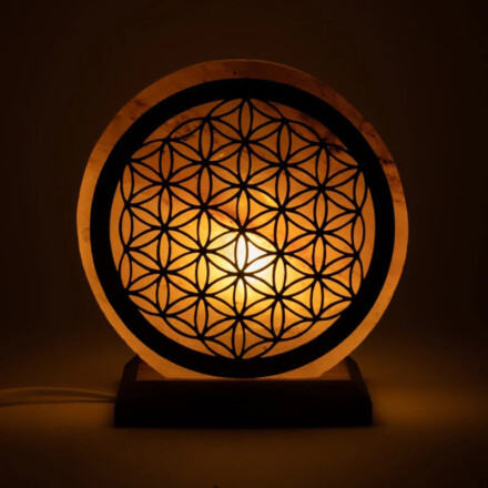 Zoutlamp met een levensbloem, ze helpt bij angst, depressie, burn out + GRATIS snoer + ledlampje + GRATIS extra gekleurd lampje