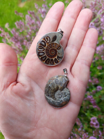 Ammoniet fossiel ketting hanger ondersteunt bij depressie, vergroot je spirituele kracht, beschermt je, een krachtige heler - Afbeelding 4