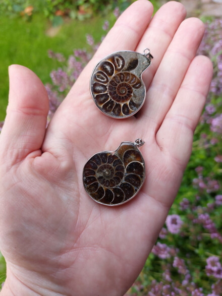 Ammoniet fossiel ketting hanger ondersteunt bij depressie, vergroot je spirituele kracht, beschermt je, een krachtige heler - Afbeelding 2