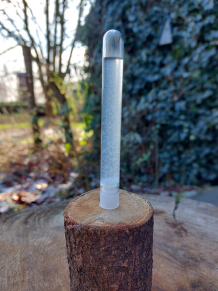 Buisje met ongefilterd plasma gaNS CO2 water, dit gans water zorgt voor meer energie, verhoogd de frequentie van voeding of water, beschermt en zuivert