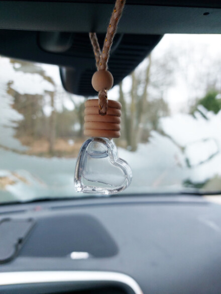 Bescherming hanger met plasma gans co2, voor aan de binnenspiegel van je auto, voor meer energie, bescherming en kracht - Afbeelding 2