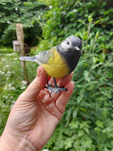 Koolmeesje als mini urn, met liefde met de hand vervaardigd tot dit bijzondere gedenkbeeldje