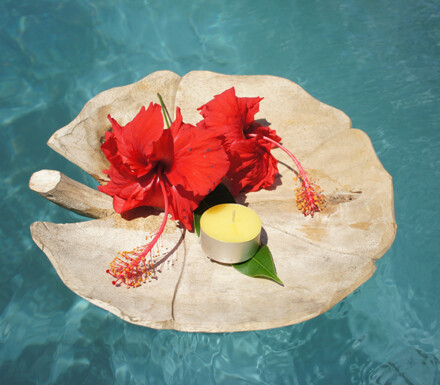 Lotusblad rond, groot drijfblad met de hand vervaardigd uit hout, biologisch afbreekbaar / LAATSTE