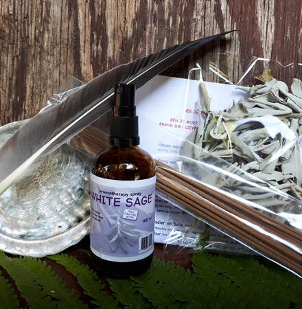Witte salie zuiveringsset met ganzenveer + puur natuurlijke roomspray / auraspray met witte salie, voor een energetische zuivering + GRATIS zuiveringsritueel