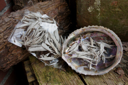 Abaloneschelp groot om witte salie of palo santo hout op te branden + GRATIS 1 stokje pure palo santo hout + tekst - Afbeelding 8