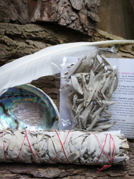 Witte salie + florida kracht water luxe huis-zuiveringsset XL voor een grote energetische schoonmaak + GRATIS tekst + spray flesje, maak je eigen roomspray