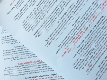 Witte losse salie grof 500 witte salie ruimt negatieve beladenheid op + GRATIS uitgebreid zuiveringsritueel - Afbeelding 2